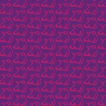 neuschweinstein_logo_dream