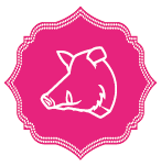 neuschweinstein_logo_web